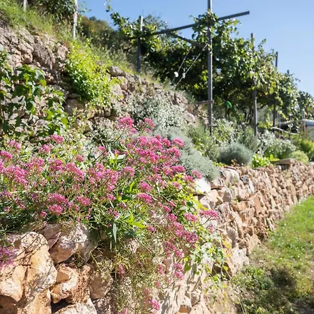 Cassiopea Villa Castelletto Di Brenzone